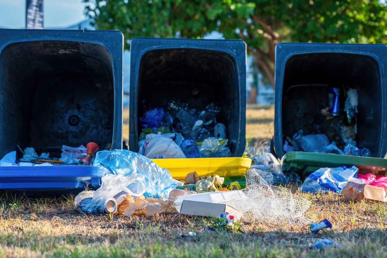 Four Corners, TX Junk Removal Company